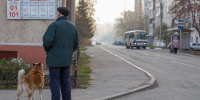 Ветлуга вышла на пойму: уровень воды превысил норму на 12 см - ProDzer.Ru