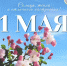 С праздником Весны и труда — 1 мая! - ДГПУ