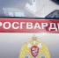 В Саранске росгвардейцы пресекли конфликт из-за парковочного места - Росгвардия