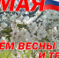 С Днём весны и труда! - Пятигорская ЦБС