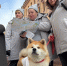 Фото: администрация Санкт-Петербурга - Мой район