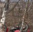 image - GazetaRB.Ru
