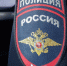 Новосибирские полицейские возбудили 54 уголовных дела против мигрантов - Gorsite.Ru