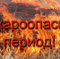 Сохранится высокая (4 класс) пожароопасность в Алтайском крае в период с 4 по 8 мая 2026 года. - Красногорский район