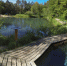Калужские Сероводородные озера зарастают водорослями - NgRegion.Ru