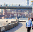 Метеорологическое лето наступит в Московском регионе с 26 мая - M24.Ru
