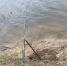 Волгодонцам разрешили вылов некоторой рыбы - DonDay-Volgodonsk.Ru