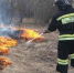 В Архангельской области продолжается пожароопасный сезон - Бизнес-класс Архангельск