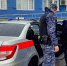 Московские росгвардейцы задержали вора-рецидивиста (видео) - Росгвардия