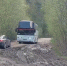В карельском поселке туристический автобус сбил пенсионерку - Gubdaily.Ru