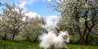 «Компенсация» за холода: какой будет погода в Москве на первой неделе мая - Вечерняя Москва