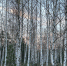 nJdb9Y8i3UGoApkMOM0_O42ejKvrBlMSHKMpaAsS7-iHT3EcJRbmBPSCH0uc2wXeKLXBByZzBqPwXTN2Nq_21KfW - Рязанские ведомости
