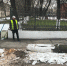 Спиливают дерево - Скат Инфо