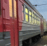 Фото Тимура Бойкова/Вологда-Поиск - Вологда-поиск