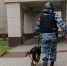 Эксперт назвал признаки потенциальной опасности, при которой стоит насторожиться - MosRegToday.Ru