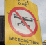 Число сбитых БПЛА в Ленинградской области увеличилось до 51 - Spbdnevnik.ru