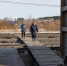 img - ЛДПР