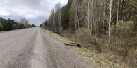 На трассе в Омской области произошло смертельное ДТП - ИА Омскрегион