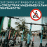 Сезон СИМ: как передвигаться по городу безопасно - Совет гор. округа Уфа