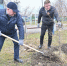 В Хабаровске высадили ещё одну аллею - AmurMedia.Ru