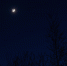 Фото: ПАИ - InformPskov.Ru