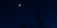Фото: ПАИ - InformPskov.Ru
