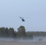Более 110 человек пропали в Нижегородской области в апреле - фото 1 - vGorodeN.Ru