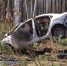 ДТП. Скриншот видео Госавтоинспекции региона - Irk.Ru