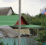 Зеленый - Волжская правда
