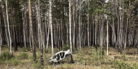 Мужчина и женщина погибли в ДТП на Байкальском тракте - Baikal24.Ru