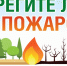 JPG Файл - УМВД Псковской области