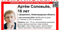 Подросток с голубыми глазами пропал без вести в Нижегородской области  - фото 1 - vGorodeN.Ru