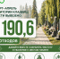 мирогойское кладбище.jpg - ИА Русский Запад