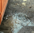 Фото: News29 - News29.Ru