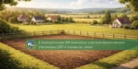 В Башкирии участникам СВО передали 438 земельных участков - Башинформ