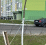В Курске на улице Клевцова высадили 25 сосен - РИА Курск