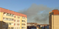 Крупный ландшафтный пожар ликвидировали под Псковом - Pln-Pskov.Ru