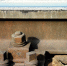 Фото: pixabay.com - Kgzt.Ru