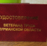 Звание ветерана труда предложили присваивать по новым правилам - Мурманский вестник