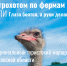 Знаете выражение «глаза боятся, а руки делают»? - Информационный туристский центр