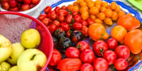Специалисты рассказали, как рацион влияет на ваше спокойствие - Aromashevo.Online