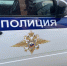 Житель Татарска открыл стрельбу по бродячим собакам - Gorsite.Ru