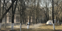 Муниципальные парки Нижнего Новгорода закроют на обработку от клещей - НИА Нижний Новгород