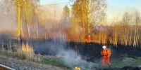 В Псковском районе ликвидировали крупный ландшафтный пожар - Псковская правда