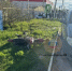 281343 - Novosti-Saratova.Ru