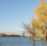 осень_балаково_мост - Novosti-Saratova.Ru