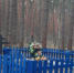 Электрики Суземского района привели в порядок воинское захоронение - Рассвет