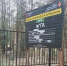 В Красногорске ведут уборку неликвидной древесины в лесных массивах - Городской округ Красногорск