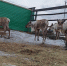 share-photo-13992905074.jpeg - Мирнинский район