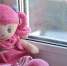 o4xh3ivci6cltdejhr4ek5fi5rzn3dv3.jpg - Primorye24.Ru